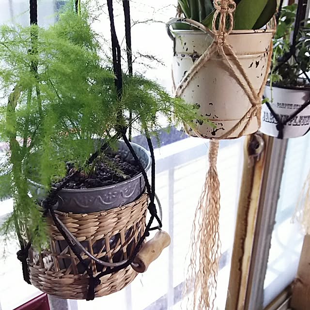 tomokaさんの実例写真