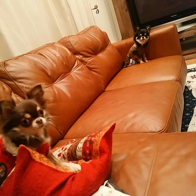 ChocolateNandasさんの実例写真