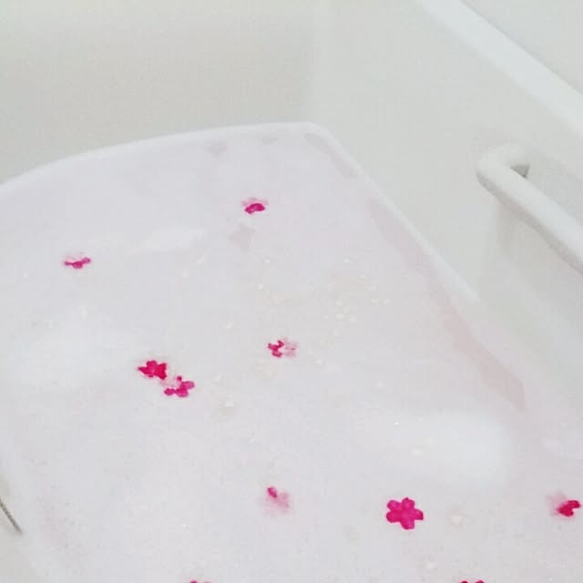 MISTさんの実例写真