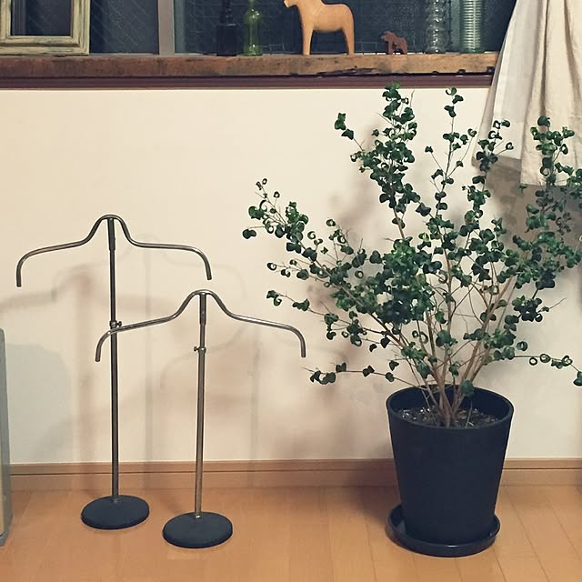 nico25さんの実例写真