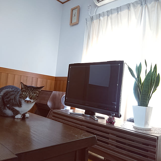 nachiさんの実例写真