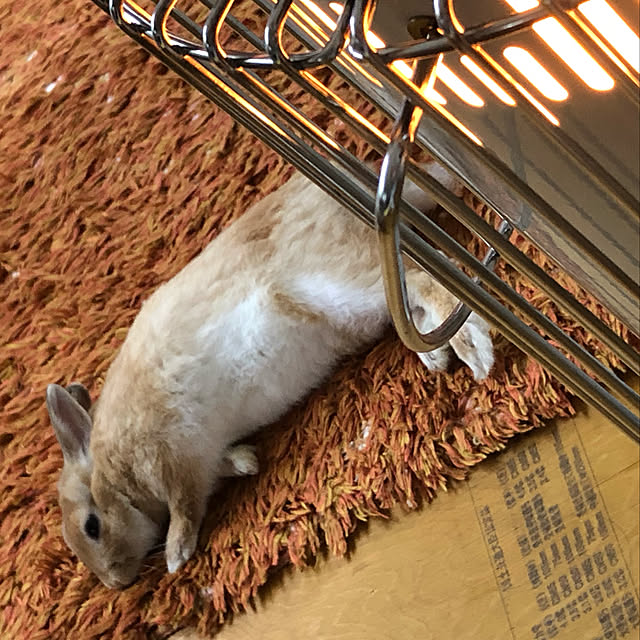 takakoさんの実例写真