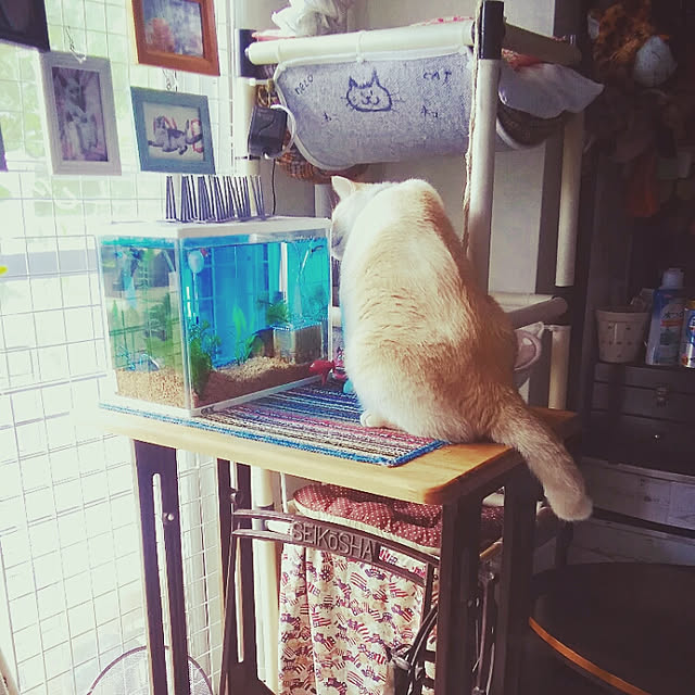 mntcさんの実例写真