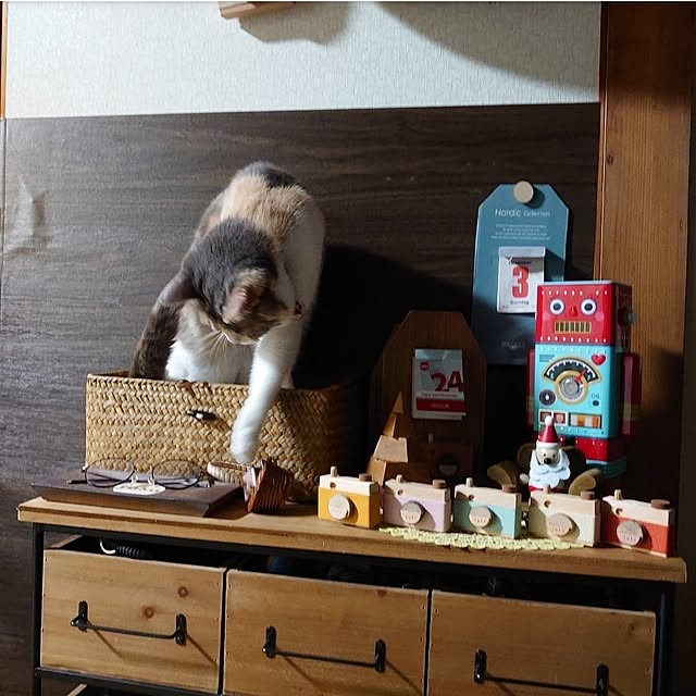 fukuさんの実例写真