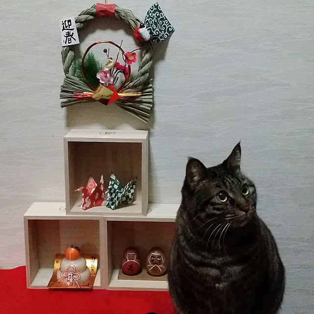 Mayumi8888さんの実例写真