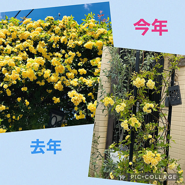 wakoさんの実例写真