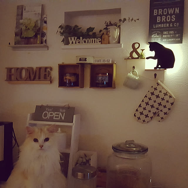 megu.catさんの実例写真