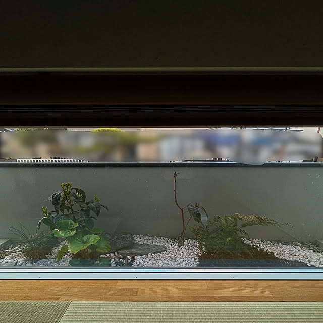 yaさんの実例写真