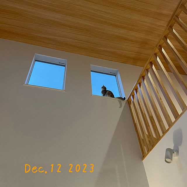 moto_nyaiderさんの実例写真