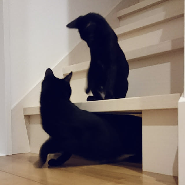 shiiiさんの実例写真