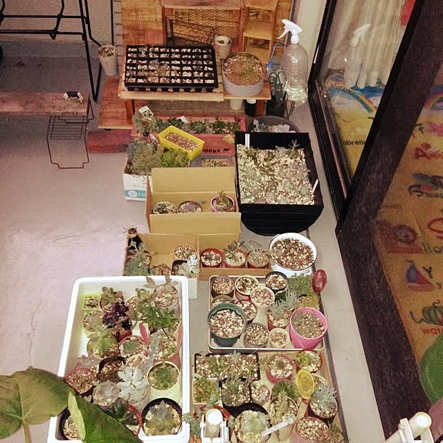 nagiさんの実例写真