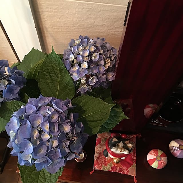 happy-sachiさんの実例写真