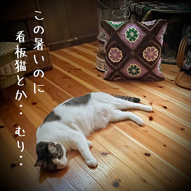 marusanさんの実例写真