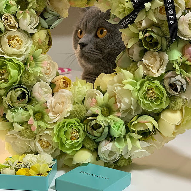 kittyさんの実例写真