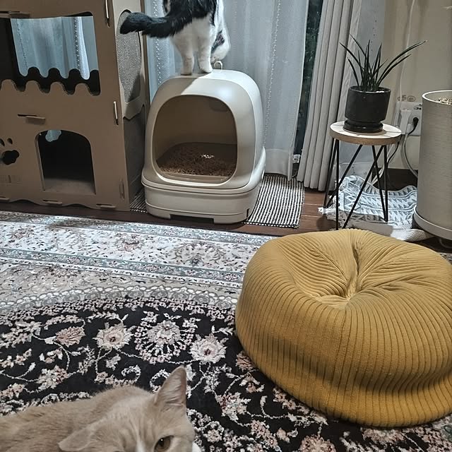 yuuさんの部屋