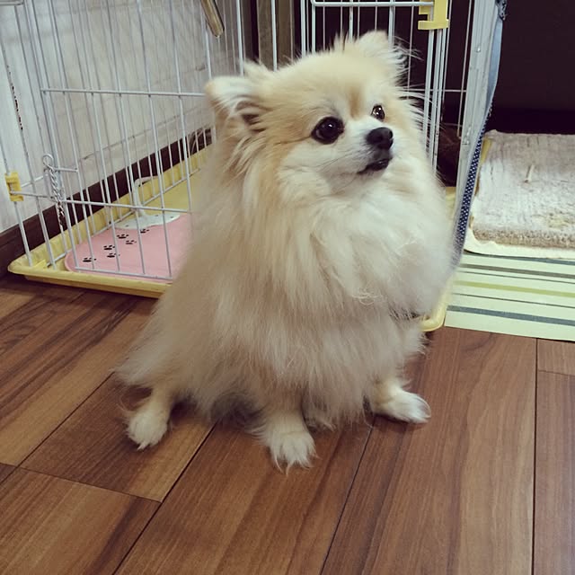 riapon23さんの実例写真