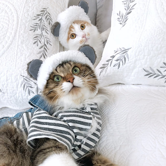 yuchiさんの実例写真