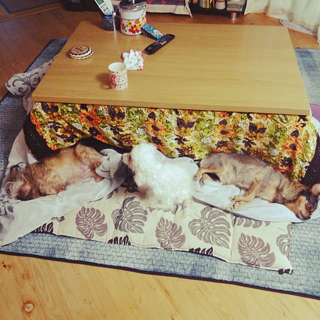 mokanaさんの実例写真