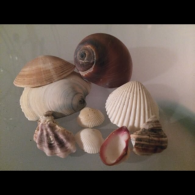 yknさんの実例写真