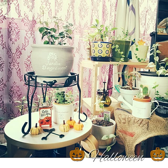 carollcarさんの実例写真