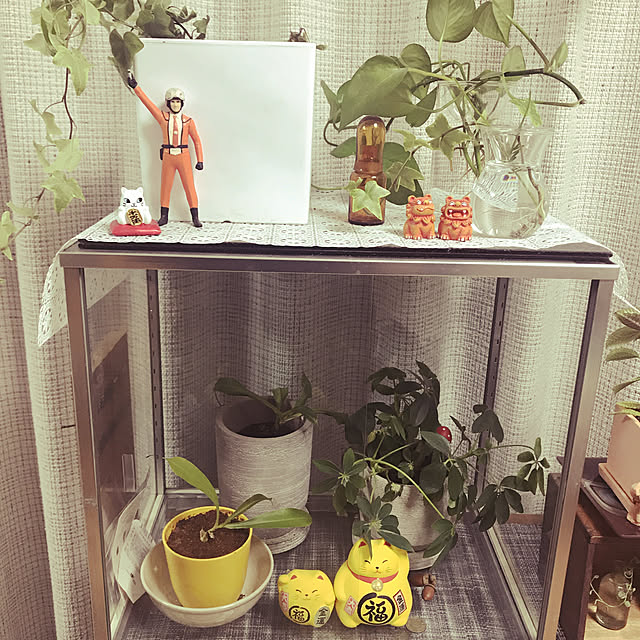dunさんの実例写真