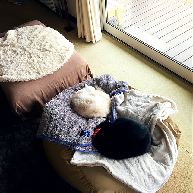 nanaさんの実例写真