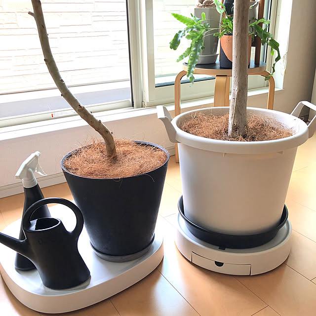 eriさんの部屋