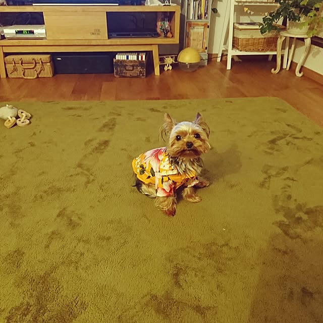 akiさんの実例写真