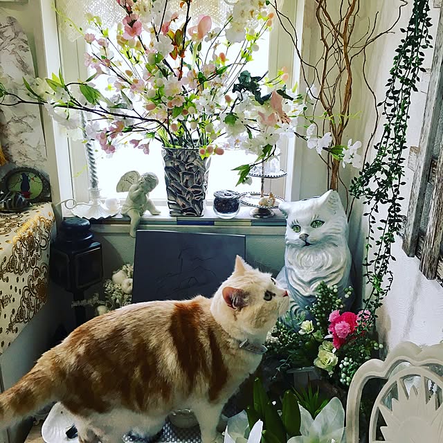 Watanabejunpilさんの実例写真