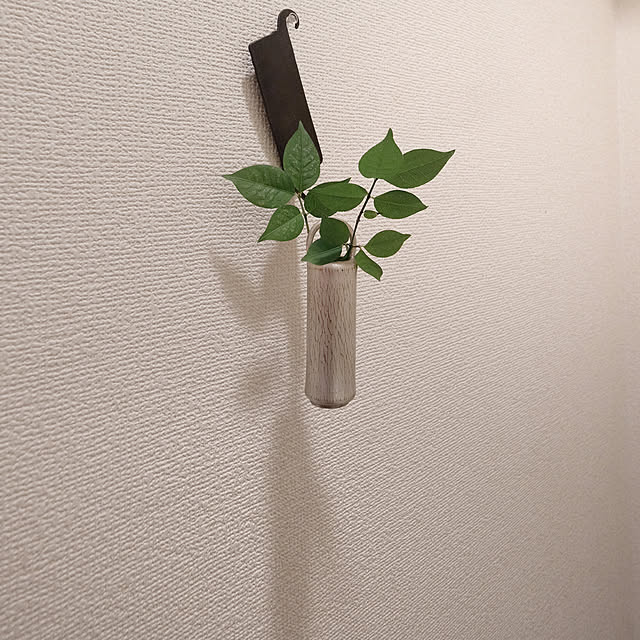 nnnnnnnさんの実例写真