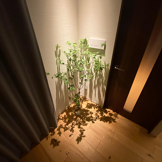 shwckさんの実例写真