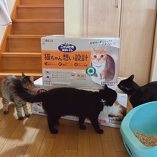 prelumoさんの部屋
