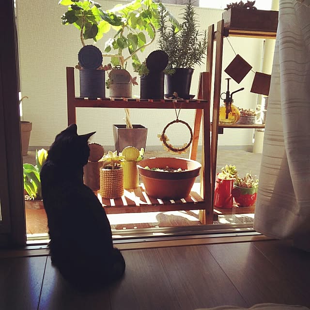 miyukiさんの実例写真