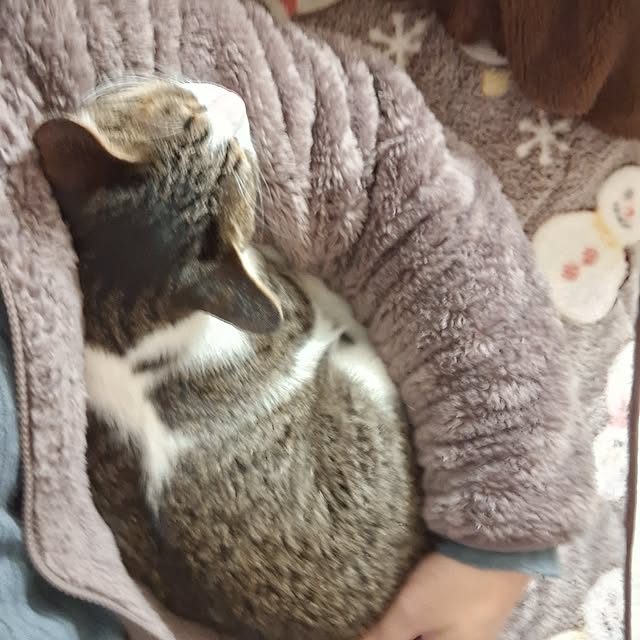 akimameさんの部屋