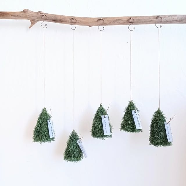 shituraeさんの部屋