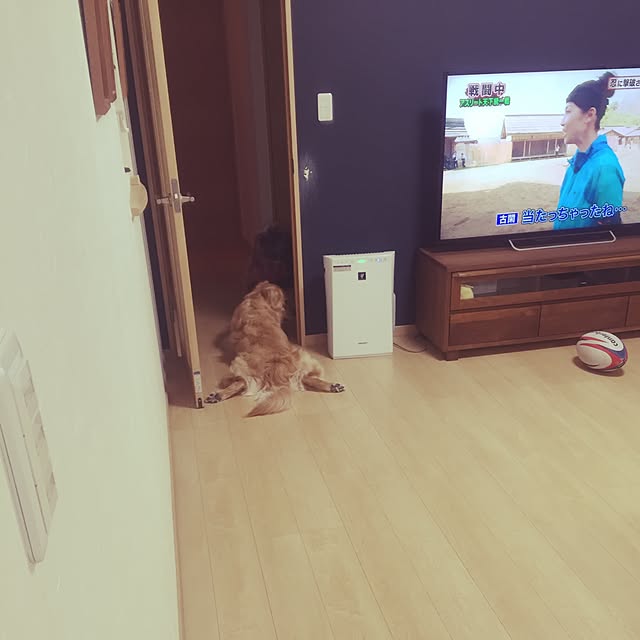 Kazueさんの実例写真