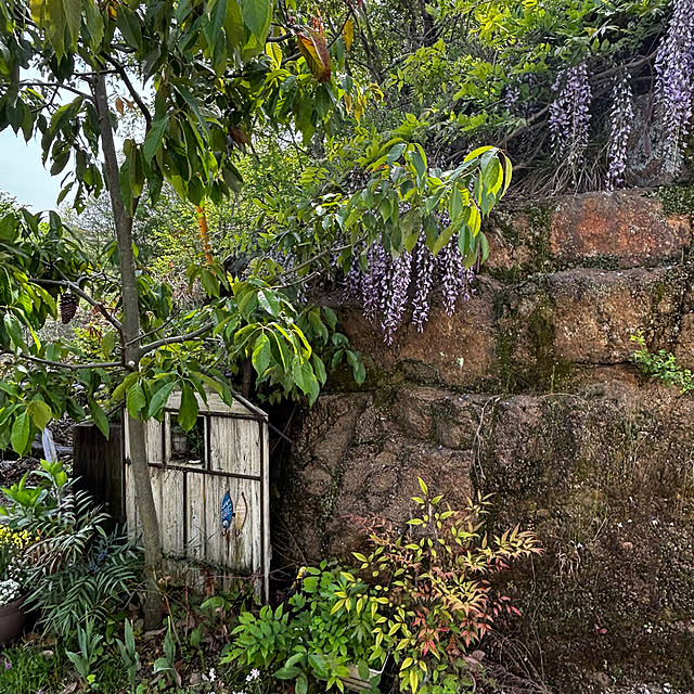 Harukaさんの実例写真