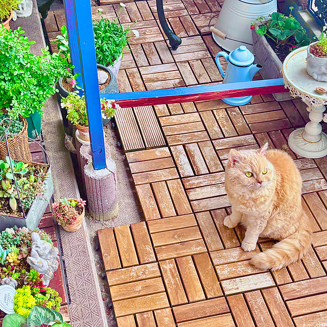 naokoさんの部屋