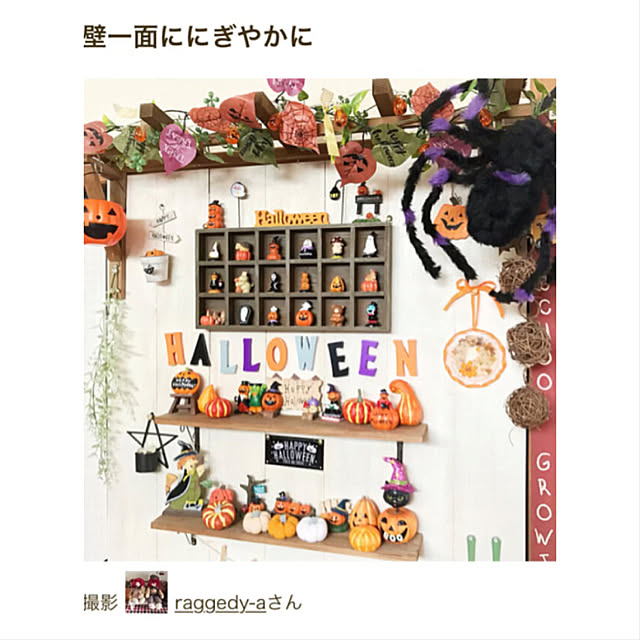 raggedy-aさんの実例写真