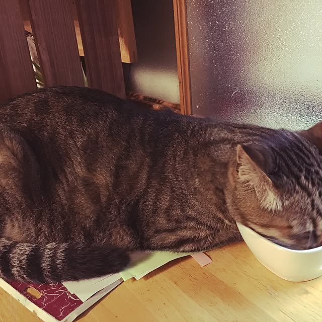 Miechamさんの実例写真