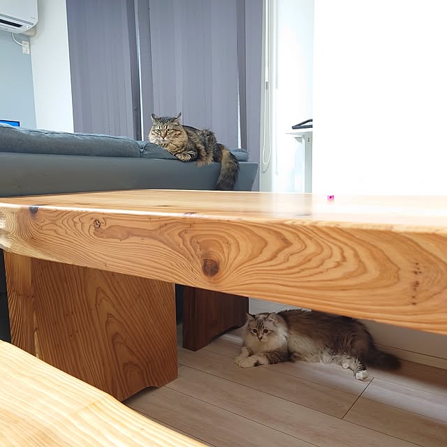 sunflower07さんの実例写真