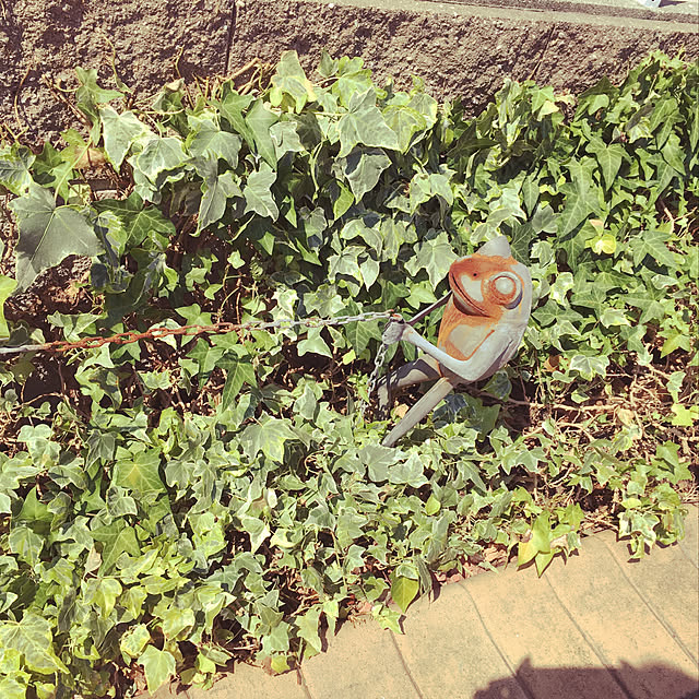 mama_sanさんの実例写真