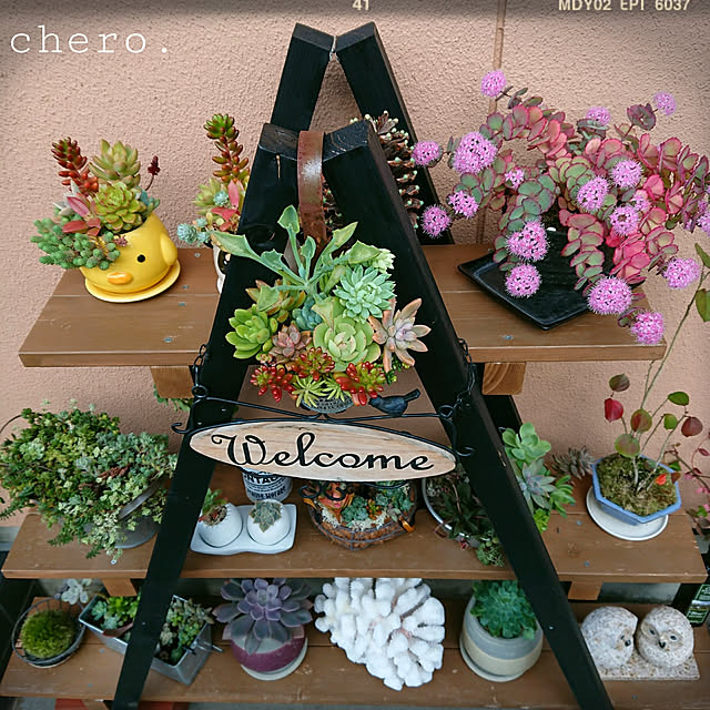 chero.さんの実例写真