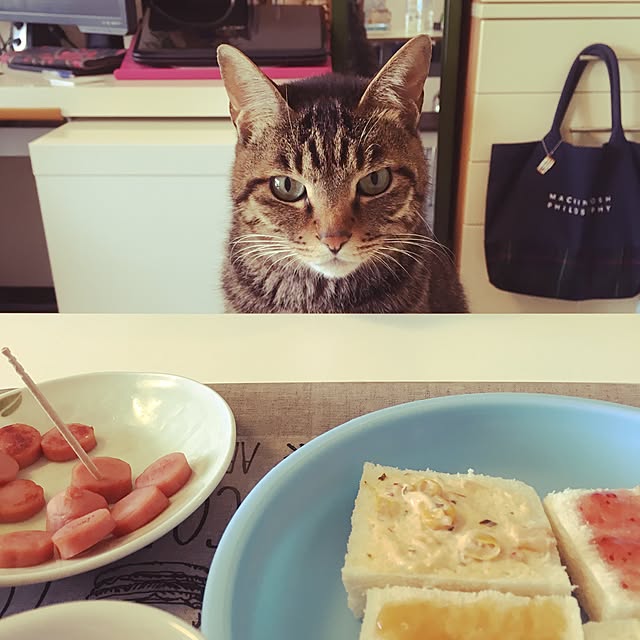 shigimiさんの実例写真