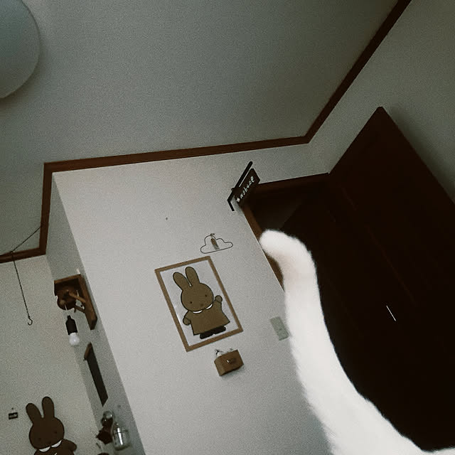 Ohigeさんの部屋