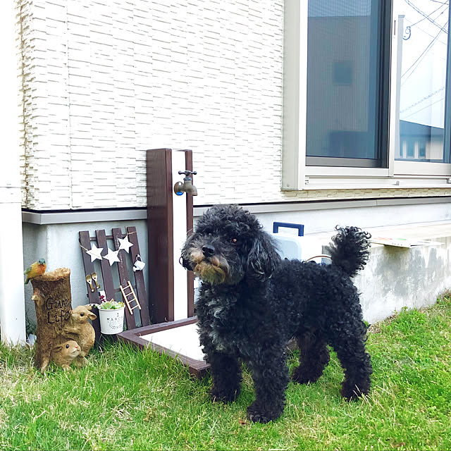 Mamiyさんの実例写真
