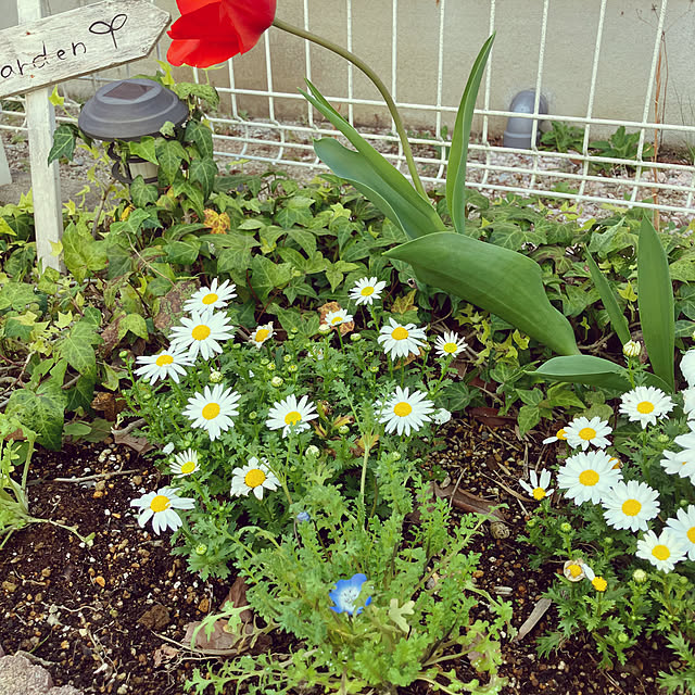 Rikimaさんの部屋