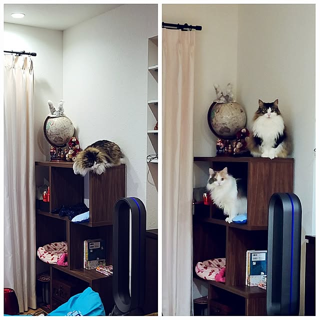 akiko6193さんの実例写真