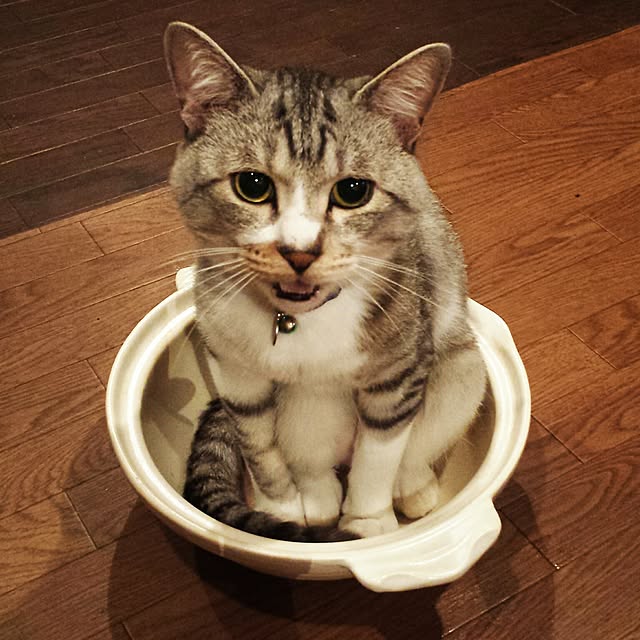 zenjirouさんの実例写真