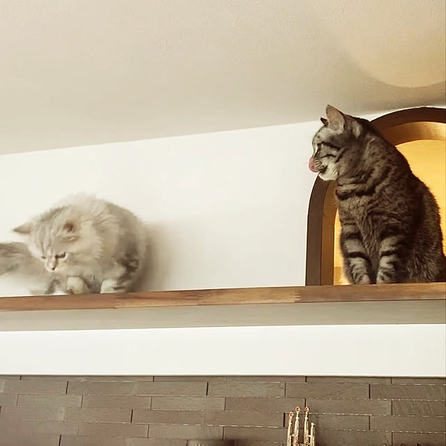 akimamさんの実例写真